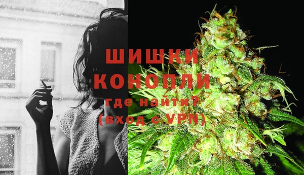 амф Володарск