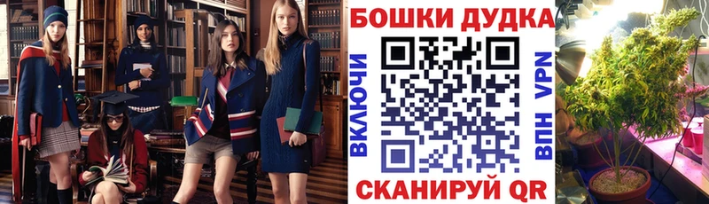 дарнет шоп  МЕГА рабочий сайт  Бошки марихуана гибрид  Орехово-Зуево 